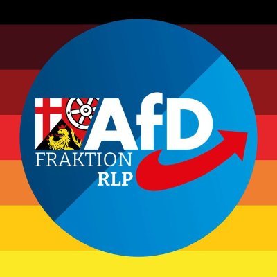 AfDFraktionRLP's profile picture
