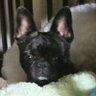 Profilbild von Terry