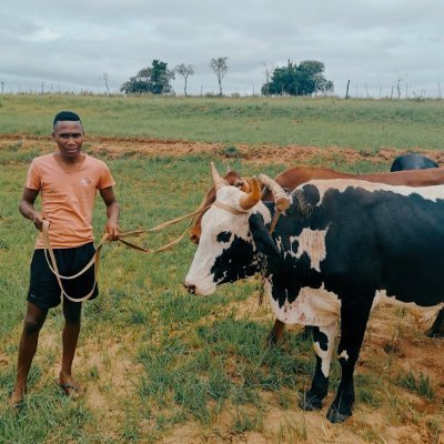DumakahleM's profile picture