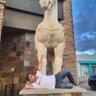 Miguel A's profile picture