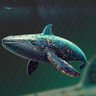 Profilbild von Jopie the whale 🐳