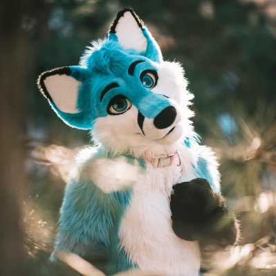 Zephy ๐ฆ๐'s profile picture