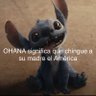 Ernesto's profile picture