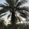 سكري 的头像