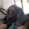 maro rombaro profil fotoğrafı