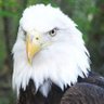 Profilbild von kartal