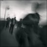 Profilbild von memory