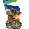 Nafo Dingo 的头像