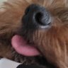 ᴸᵉᵗ ʸᵒᵘʳ ˢⁱˡᵉⁿᶜᵉ ᵃⁿᵈ ᶜᵒᵐᵖˡⁱᶜⁱᵗʸ ʳᵒᵗ's profile picture