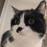 Profilbild von ぐでぱし
