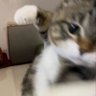 gggggggggggg profil fotoğrafı