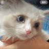 Profilbild von gramayu
