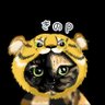 きのひとまる(きのぴー🐥)'s profile picture