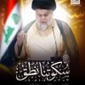 أبو محمد صادق 的头像