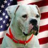 Hut's profile picture