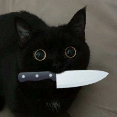 KingLoserXV's profile picture