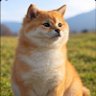 三毛猫アンダーグラウンド💉ファファファファファ(PPPPP)💉 profil fotoğrafı