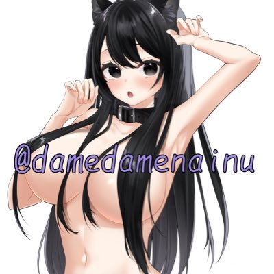 damedamenainu's profile picture