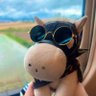 Profilbild von ann