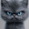 katty profil fotoğrafı