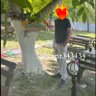 Yagız 的头像