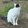 ANNG profil fotoğrafı