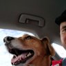 Profilbild von Ben Safer
