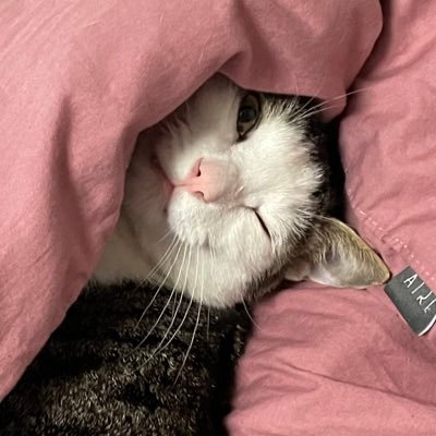 dsp9596's profile picture