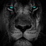 Фото профиля izoo