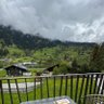 هذا أنا profil fotoğrafı