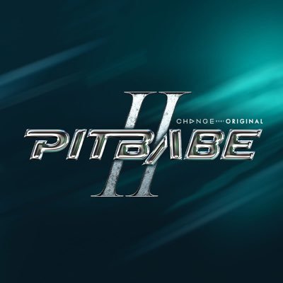 PIT BABE The Series's profile picture