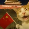 台湾自古以来姓中🇨🇳's profile picture