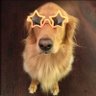 Saurav Anand's profile picture