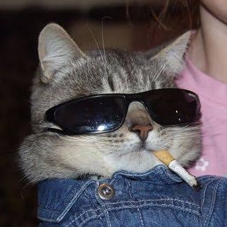 bijouxiu's profile picture