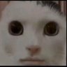 Truth Degenerate's profile picture
