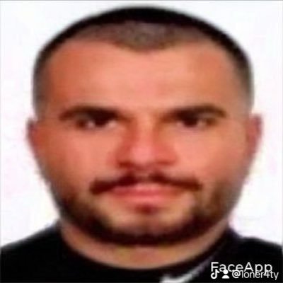 gubucik's profile picture