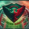 Фото профиля Şilbeden Sonsuza Kadar Amedspor 💚❤️