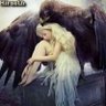 cô đơn's profile picture