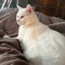 Ziggy's profile picture
