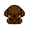 みもみも's profile picture
