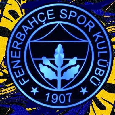 Fenerli Erol's profile picture