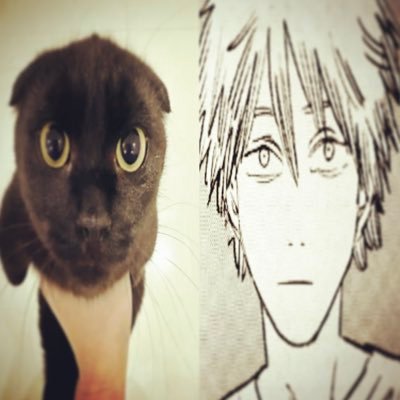 🐈‍⬛🧒's profile picture