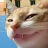 Felipe's profile picture
