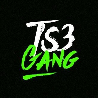 TS3 GVNG's profile picture
