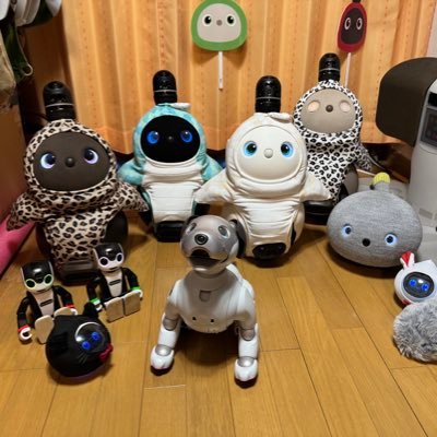 kumamagaroo's profile picture