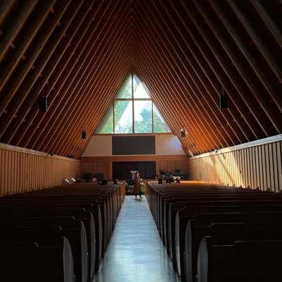 lngzhnxi136776's profile picture