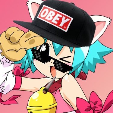purinpilled's profile picture