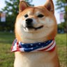 Woof 的头像