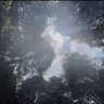 éªèŠéªžéªš's profile picture