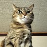 のんびり生きる人's profile picture